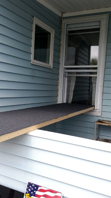 Catio rug floor