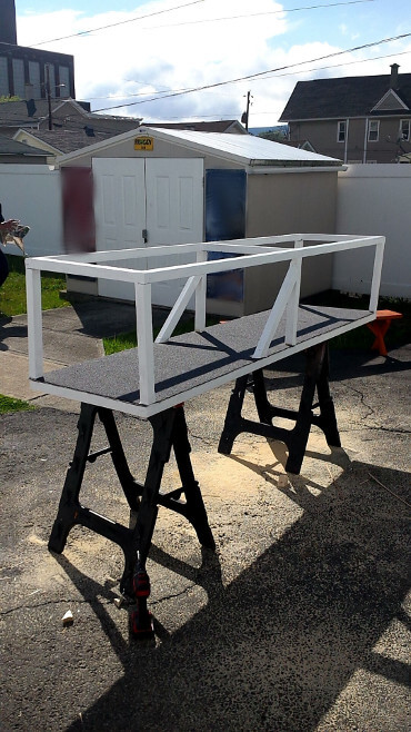 Paint Drying on Catio