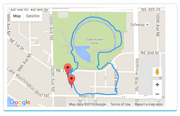 GPS tracked dog walk map