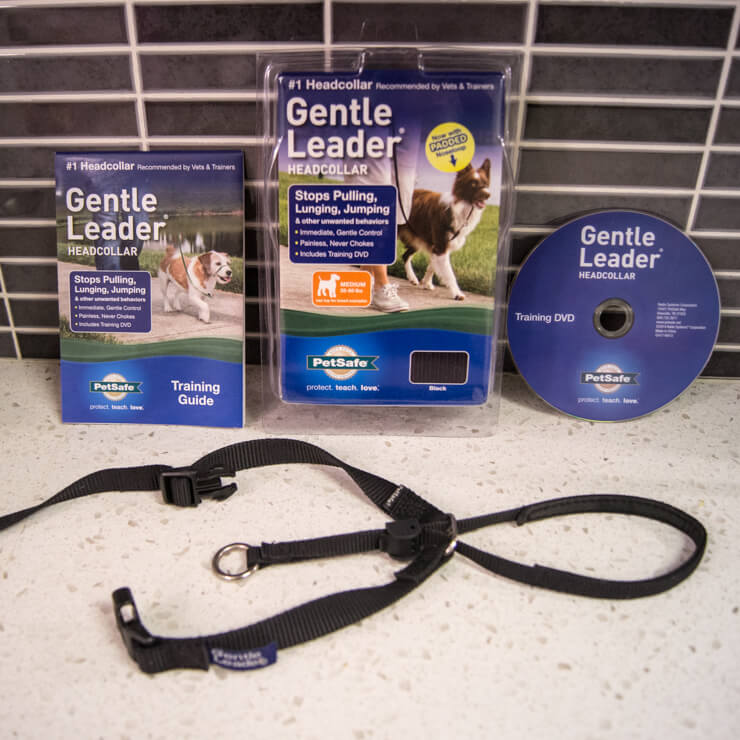 gentle leader instructions