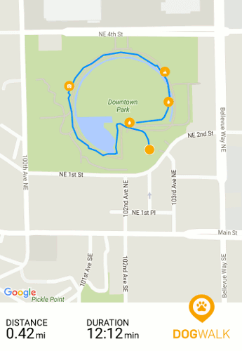 GPS Tracked Dog Walking Map