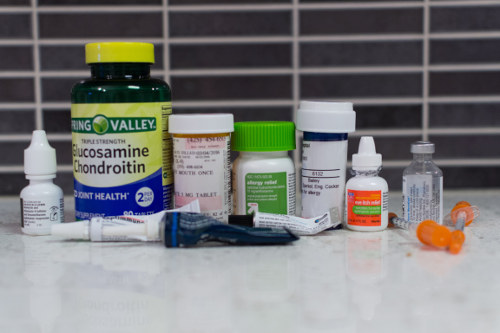 Bailey's Daily Medications